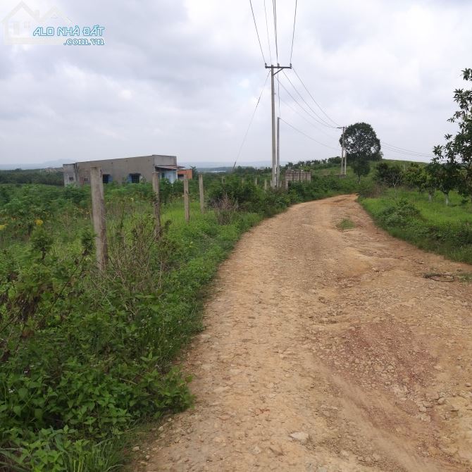 Bán đất vườn xã phú ngọc huyện định quán tỉnh đồng nai - 2