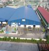 Cho thuê kho xưởng mới diện tích 18.000m2 giá 570tr/tháng trong KCN Huyện Đức Hòa Long An