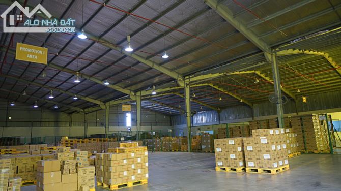 Cần cho thuê kho xưởng mặt tiền Tân Thới Nhất 8 gần Phan Văn Hớn, Quận 12, DT 4.000m2 - 1