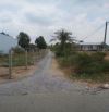 Bán đất Lúa Xã Phước Vân, Cần Đước. Đường xe hơi đến đất