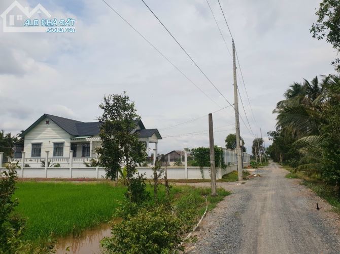 Bán đất Phước Vân, Cần Đước. ĐẤT LÚA diện tích 2400m2 - 1