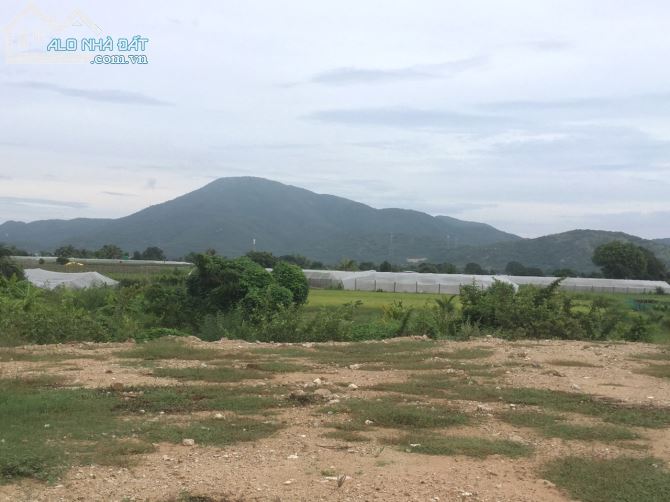 đất trang trại Bình Thuận giá tốt - 4