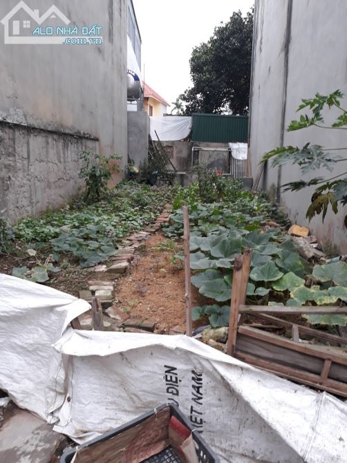 Bán  mảnh đất phân lô Bằng A - Hoàng Liệt - Hoàng Mai - Hà Nội diện tích 60m2  mặt tiền 5m