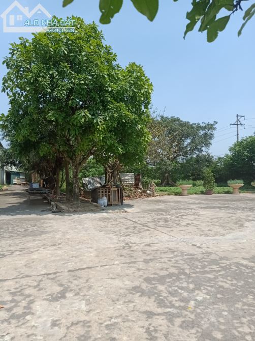 Bán 2,3ha đất  kho xưởng 50 năm Hiệp Hòa, Tỉnh Bắc Giang