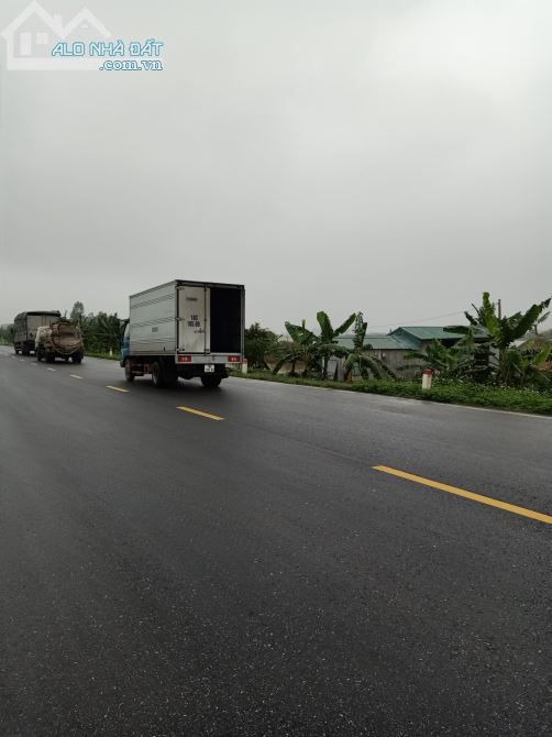 Bán 2,3ha đất  kho xưởng 50 năm Hiệp Hòa, Tỉnh Bắc Giang - 2