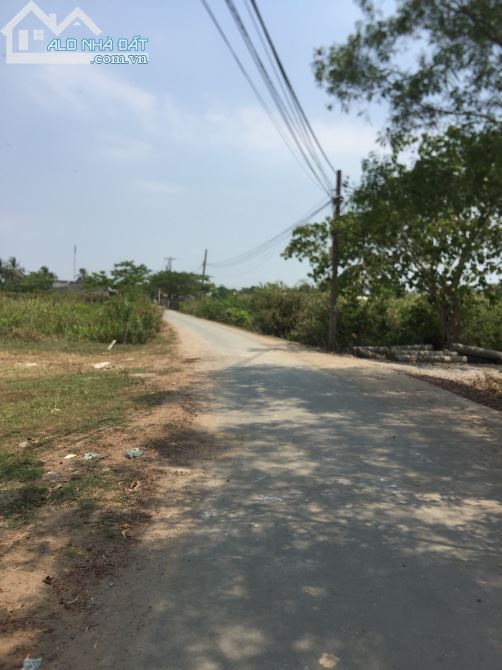 BÁN ĐẤT MT ĐƯỜNG SỐ 12 P.LONG PHƯỚC QUẬN 9 DT 2000m2 GIÁ 7.5TR/M2 - 1