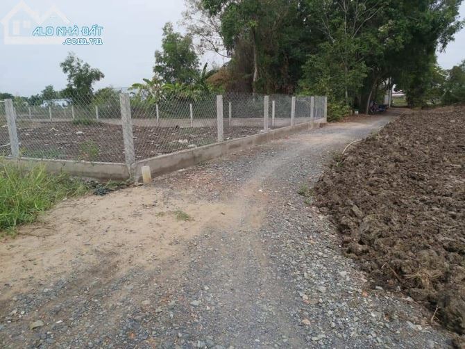 Bán đất thổ cư đường 835- xoài đôi 630 triệu/ 6,3x21 - 1