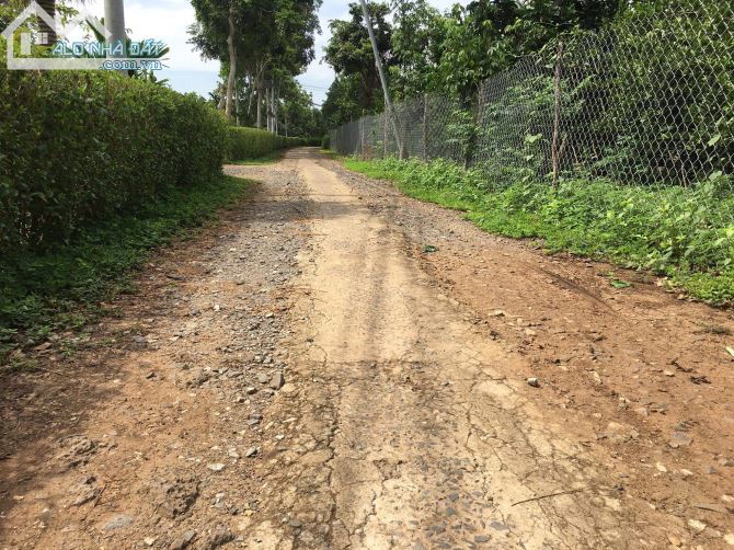 Bán đất vườn xã Túc Trưng huyện định quán tỉnh Đồng Nai