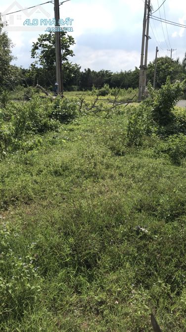 Đất An Vĩnh Ngãi, Tân An, Long An. Giá tốt nhà đầu tư - 1