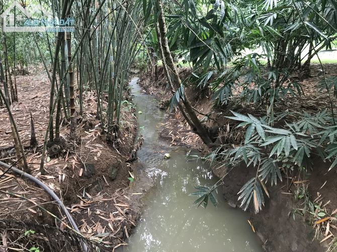 Bán đất vườn xã Phú Túc đường tàu kem tỉnh Đồng Nai - 1
