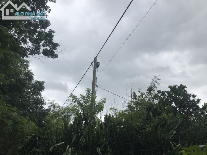 Bán đất vườn xã Phú Túc đường tàu kem tỉnh Đồng Nai - 2