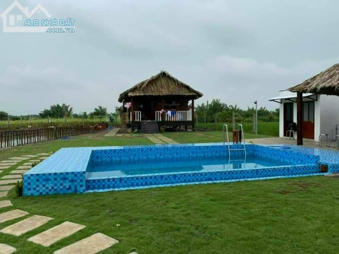 Cần bán  đất MT sông lớn Phú Đông đường ô tô giá gốc mới cắt sổ chỉ 3,6 tr/m - 3