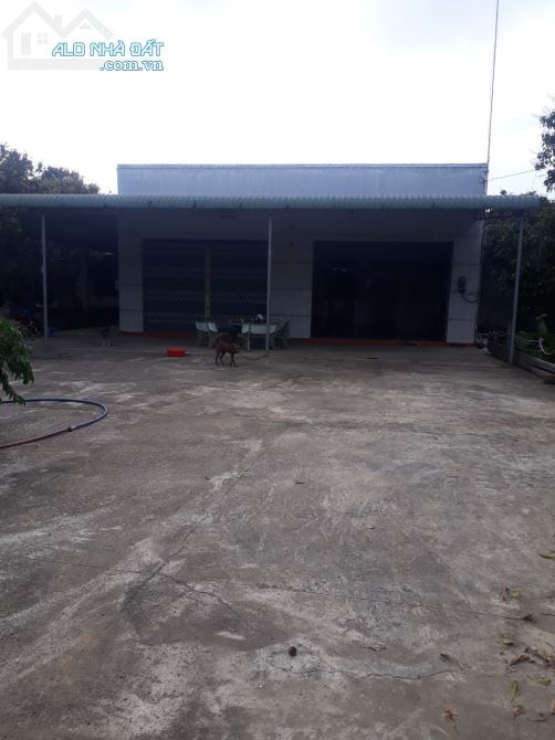 Bán đất vườn xã Ngọc định huyện định quán tỉnh Đồng Nai - 3