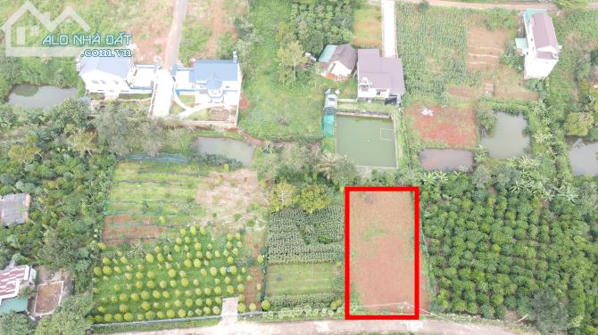 Đất nghỉ dưỡng Bảo Lộc 20x43 view đồi thoáng đẹp, giá mềm - 1