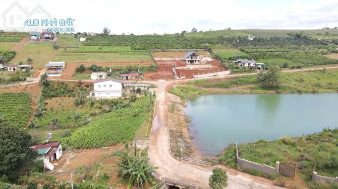 2365m² đất nghỉ dưỡng Tp Bảo Lộc view hồ tự nhiên chỉ 6 tỉ 95 - 4