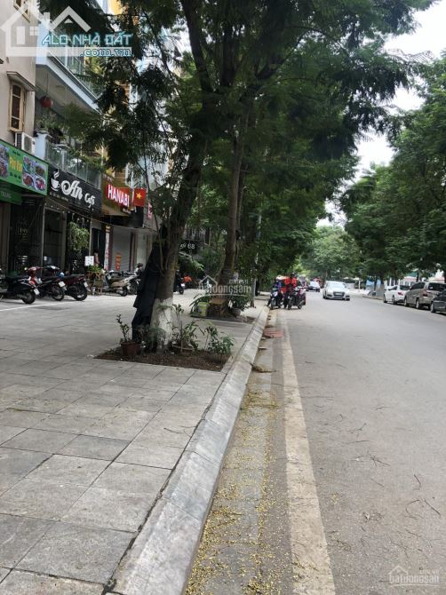 Phố Vạn Bảo, Phường Liễu Giai, Quận Ba Đình, Hà Nội