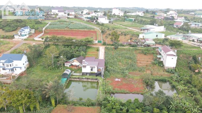 Đất nghỉ dưỡng Bảo Lộc 20x43 view đồi thoáng đẹp, giá mềm - 3