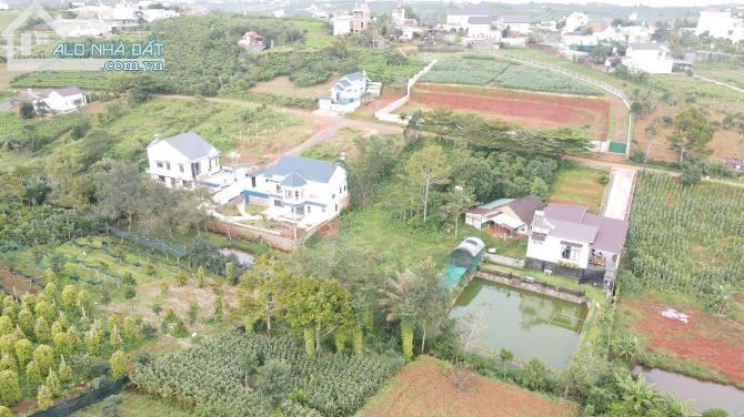 Đất nghỉ dưỡng Bảo Lộc 20x43 view đồi thoáng đẹp, giá mềm - 4
