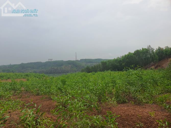 Bán 2,2 héc ta đất views sông xã Trị An Vĩnh Cửu Đồng Nai 12ty5