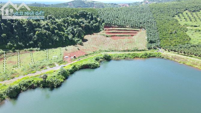 Cần tìm gấp chủ mới cho 1,5 hecta mặt hồ 130m, xe hơi tận nơi hồ Đắc Long Thượng, Bảo Lâm - 1