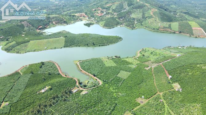 Cần tìm gấp chủ mới cho 1,5 hecta mặt hồ 130m, xe hơi tận nơi hồ Đắc Long Thượng, Bảo Lâm - 4