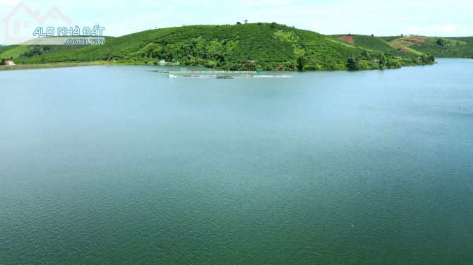 Cần tìm gấp chủ mới cho 1,5 hecta mặt hồ 130m, xe hơi tận nơi hồ Đắc Long Thượng, Bảo Lâm - 5