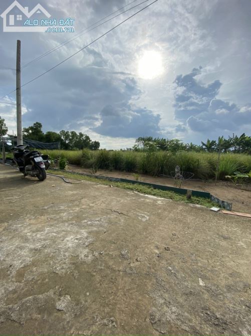 Chính chủ bán  Đất thổ cư đô thị khu phố Thanh Hà-thị trấn Cần Giuộc-QL50 ,900tr/163m2 - 2