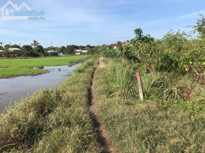 Bán đất lúa xã Phước Lý huyện Cần Giuộc, Dt 1927m2 được chuyển thổ cư - 1