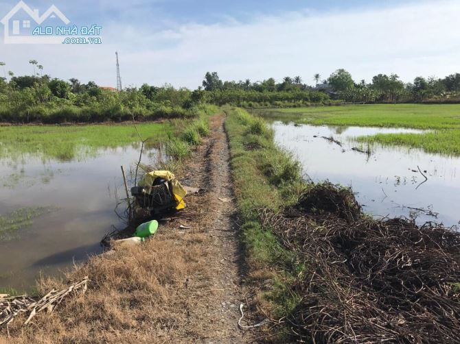 Bán đất lúa xã Phước Lý huyện Cần Giuộc, Dt 1927m2 được chuyển thổ cư - 5