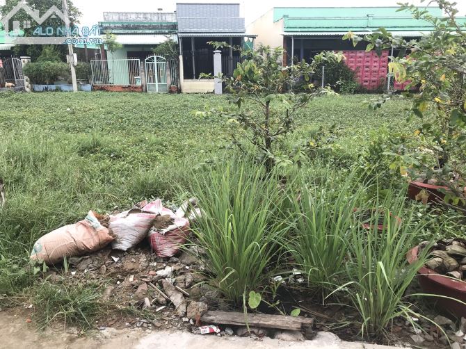 Chính chủ bán gấp lô đất ở khu dân cư Phúc Giang-ngay KCN Thuận Đạo-Bến Lức 820tr - 1