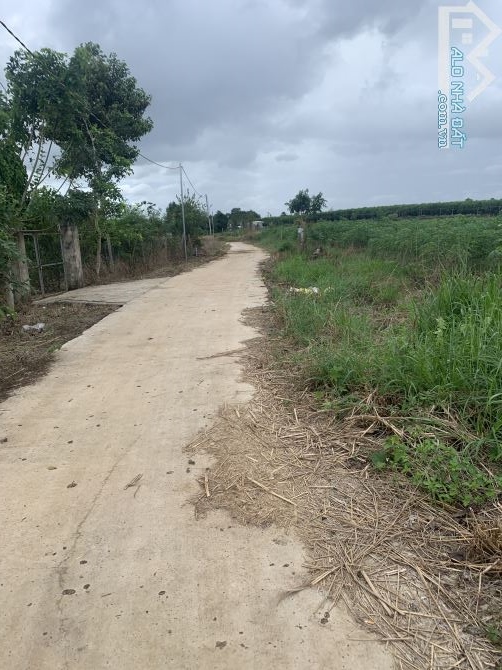 Bán đất xã bảo bình huyện Cẩm Mỹ tỉnh đồng nai - 2