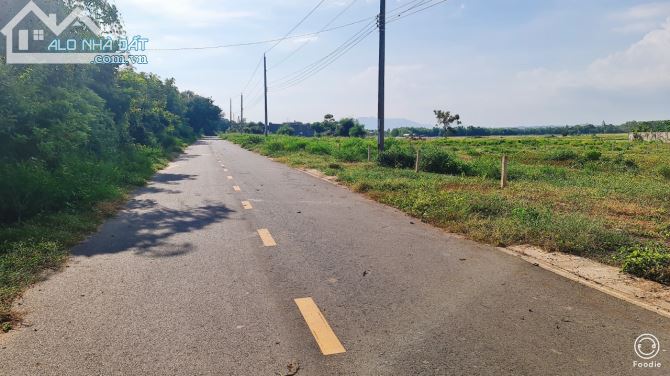 BÁN ĐẤT phan chu trinh ĐẤT ĐỎ BÀ RỊA VŨNG TÀU 2 lô liền kề DT 450m - 2