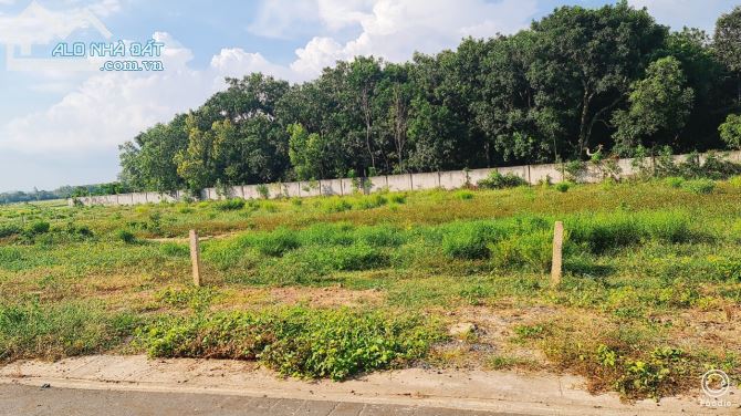 BÁN ĐẤT phan chu trinh ĐẤT ĐỎ BÀ RỊA VŨNG TÀU 2 lô liền kề DT 450m - 3