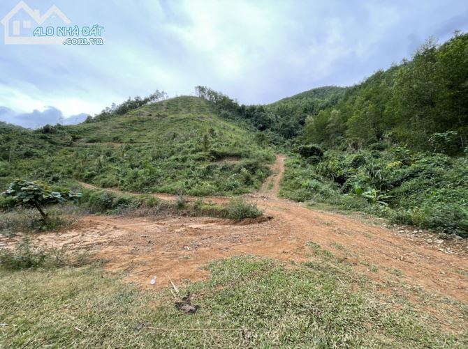 BÁN NHANH 8HA RSX TẠI KIM BÔI HB GIÁ RẺ