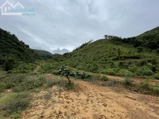 BÁN NHANH 8HA RSX TẠI KIM BÔI HB GIÁ RẺ - 2