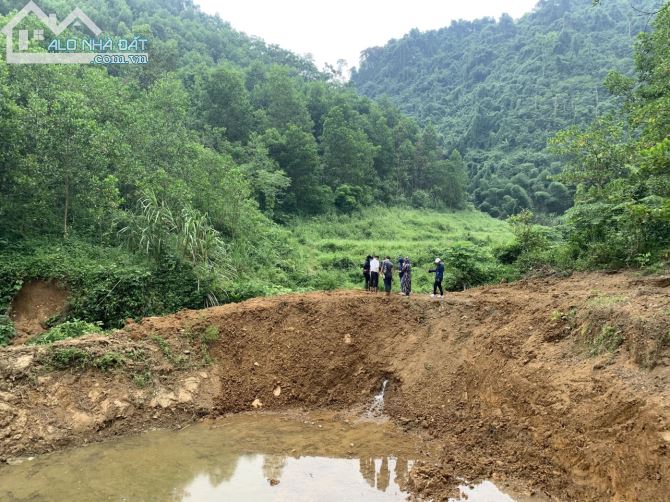 BÁN NHANH 8HA RSX TẠI KIM BÔI HB GIÁ RẺ - 4