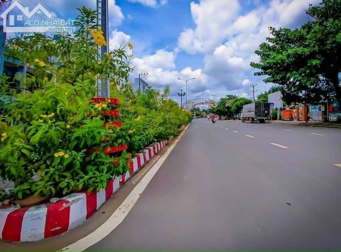 Bán đất đường sô 1 trục chính M14 -KDC Cầu Cảng Phước Đông 1ty250trieu/100m2 - 5