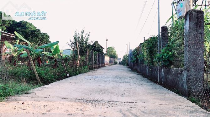 Đất Đại Lào Bảo Lộc 12x29m 100m thổ cư gần QL20. - 4