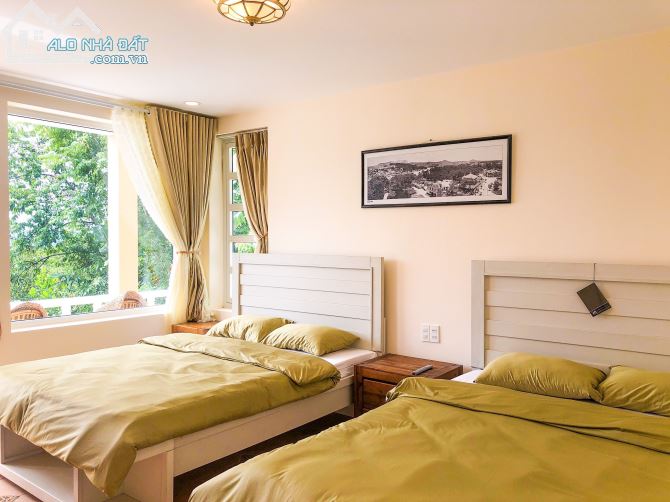 Bán biệt thự kiến trúc Pháp view rừng thông đường Khe Sanh thành phố Đà Lạt - 3