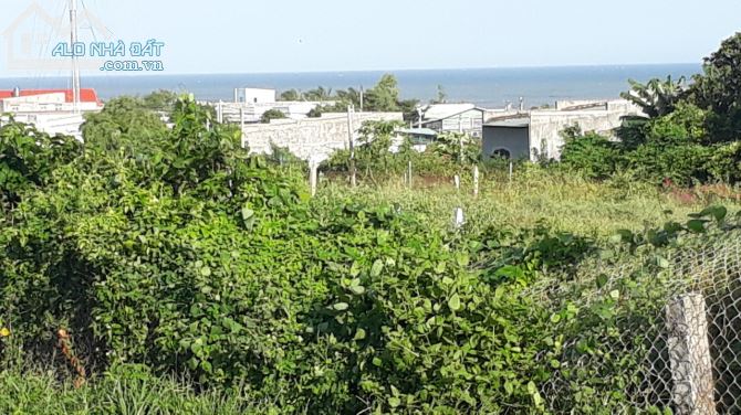 Đất Ngộp hướng Biển,gần Nguyễn Thông-Phú Thuỷ(Phan Thiết)-Lâm Đồng-300m2TC - 3