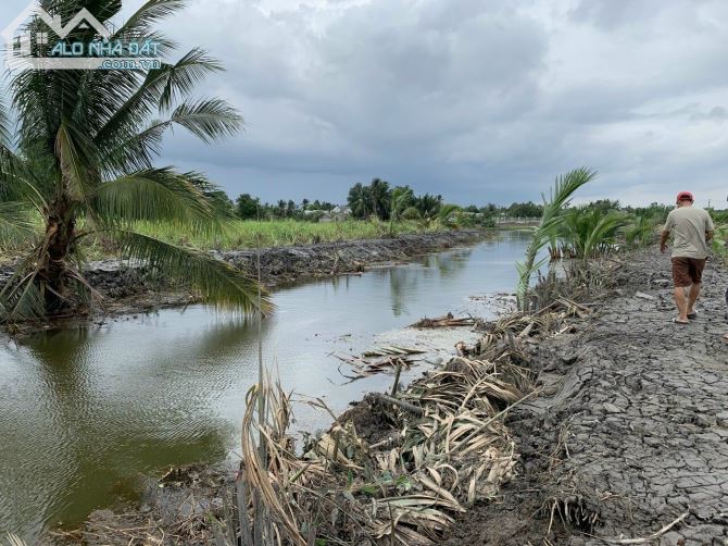 Đất vườn (CLN) Phước Khánh-Nhơn Trạch đường ô tô,mặt rạch 1,1 tỷ/1000m có dân cư - 3