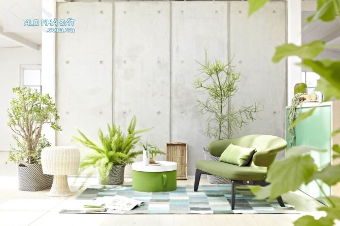 Bán nhà MT Trần Quang Khải quận 1 - 4.6x23 - 35ty - 4L - thu nhập cao - 2
