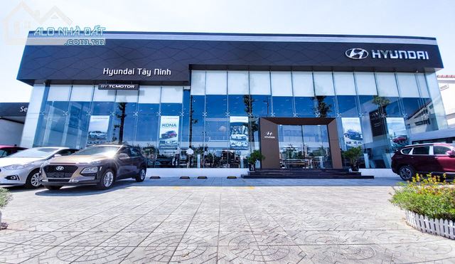 Cho thuê showroom 2000m2, mặt tiền 50m, quận Hai Bà Trưng.