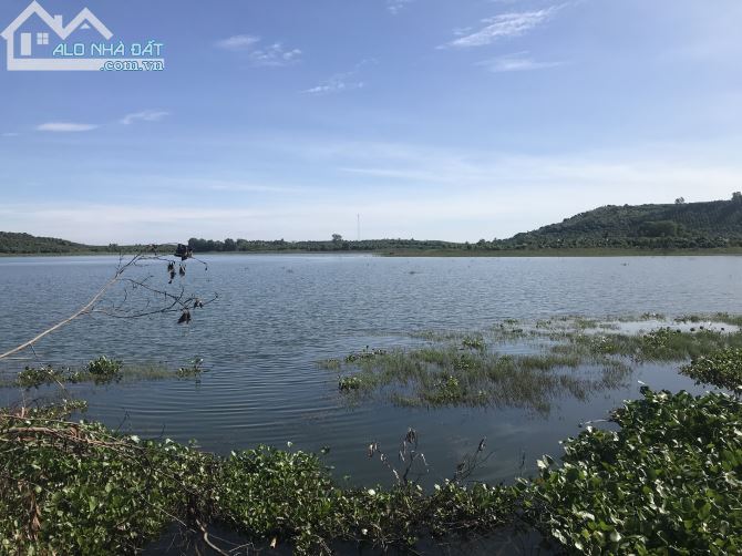 Bán đất vườn xã là ngà huyện định quán tỉnh Đồng Nai - 1