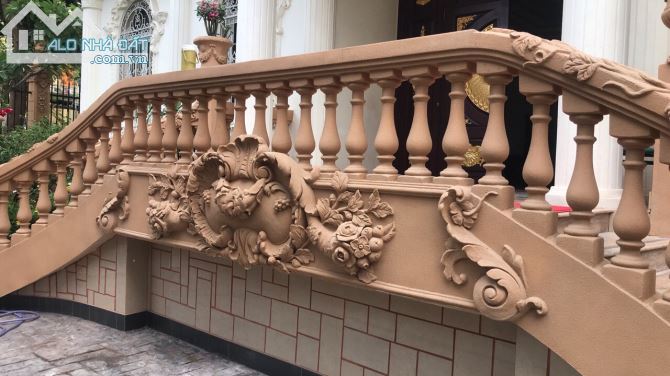 Hàng khủng! Siêu phẩm Biệt thự 2MT Tên Lửa, 22x20, hầm 3 tầng áp mái, hạt dẻ: 60 tỷ - 4