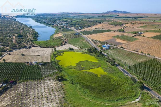 Quỹ đất sạch cho nhà đầu tư lập phân khu đất nền sân bay Phan Thiết, giá 750tr/1000m