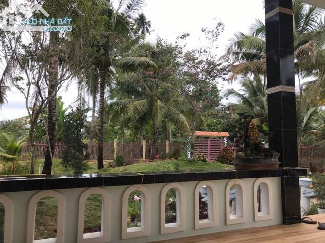 TCC - Thành Triệu Châu Thành Cần bán căn biệt thự sân vườn và 19083.9m2 đất bưởi - 1