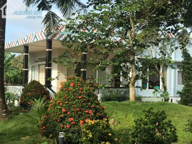 TCC - Thành Triệu Châu Thành Cần bán căn biệt thự sân vườn và 19083.9m2 đất bưởi - 4