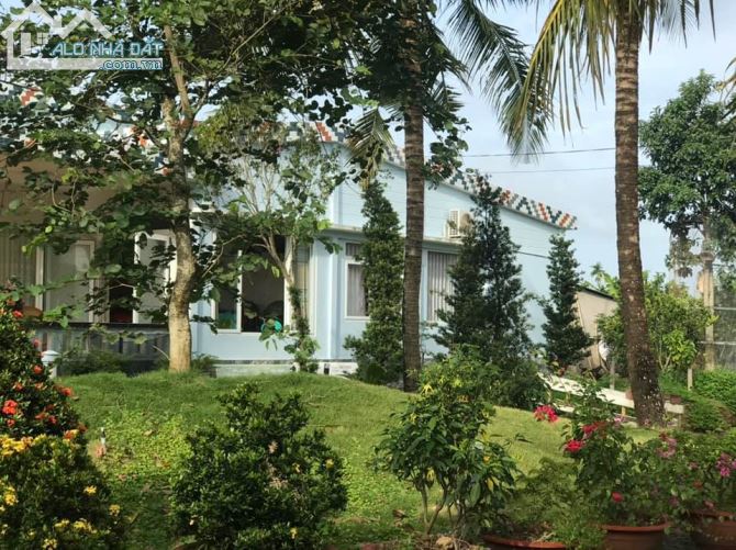 TCC - Thành Triệu Châu Thành Cần bán căn biệt thự sân vườn và 19083.9m2 đất bưởi - 5