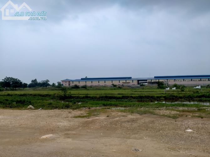 bán xưởng đất trong khu công nghiệp Bình Xuyên dt 1 ha, đã san lấp khu vực Bình Xuyên, Vĩ - 1